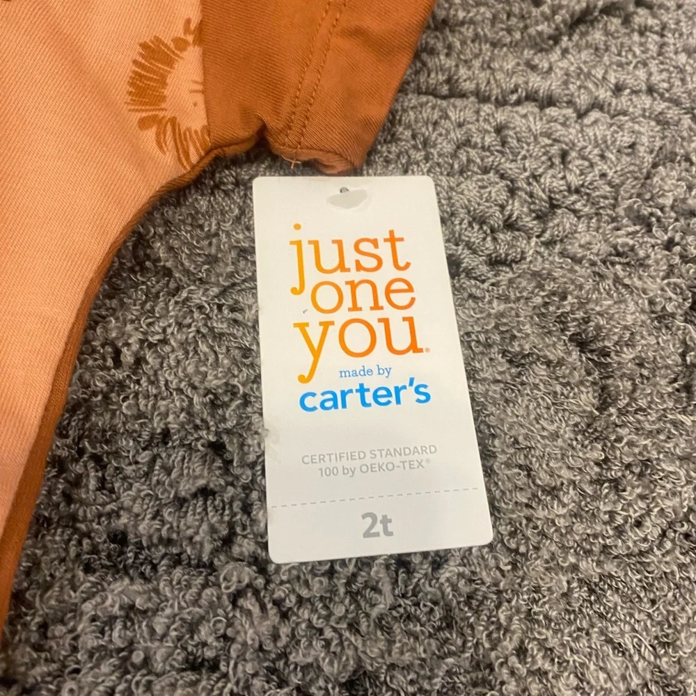 Carter's Two-Tone Rust and Peach Lion Outfit Set
